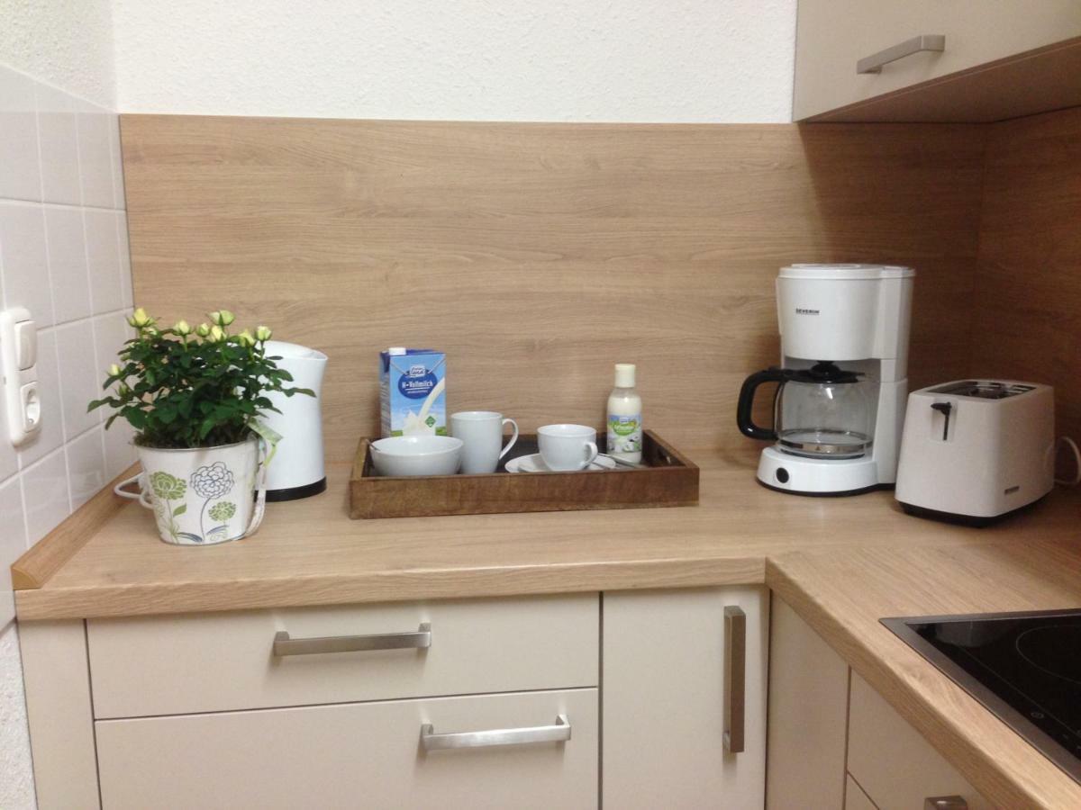 Ferienwohnung Ortrand - Pension Bagian luar foto