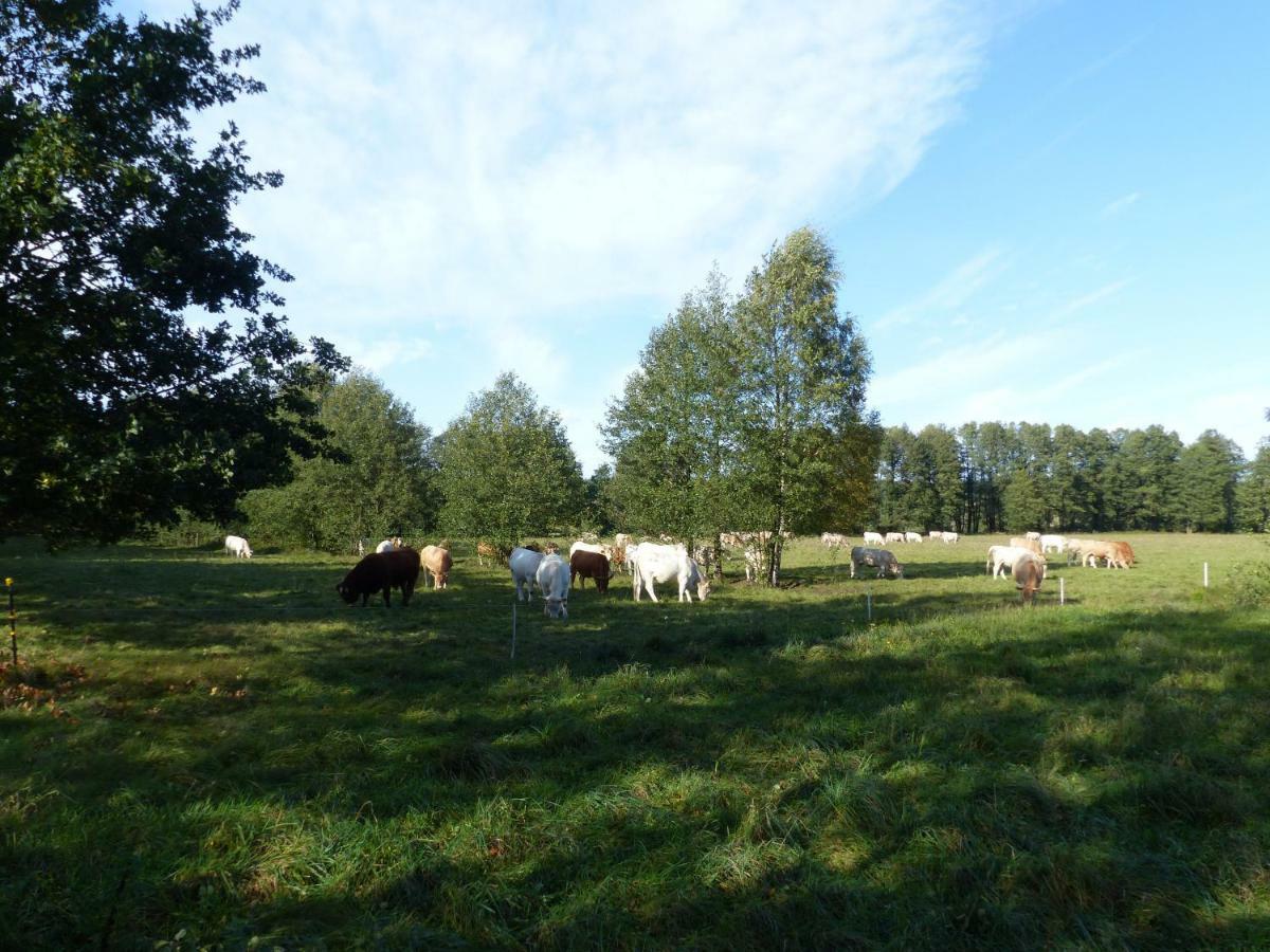 Ferienwohnung Ortrand - Pension Bagian luar foto