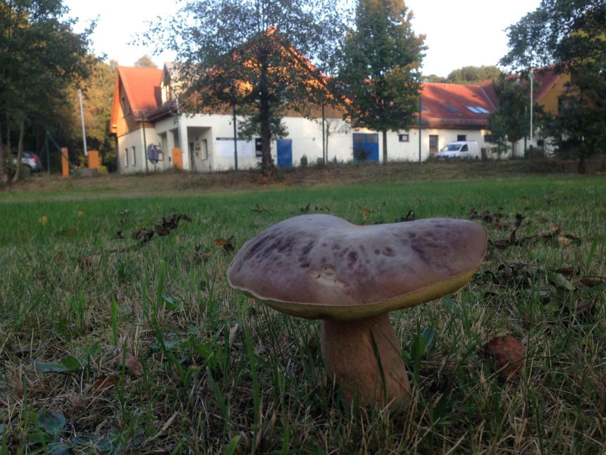 Ferienwohnung Ortrand - Pension Bagian luar foto
